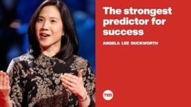 Strongest Predictor For Success